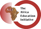 African Education Initiative(NEF)